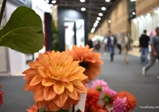 A peek on the exhibition floor through the flowers.